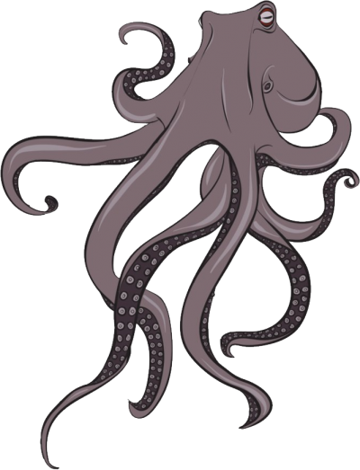 Beautiful Gray Octopus Png PNG Images