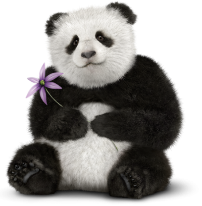 Panda Background Download With A Flower PNG Images