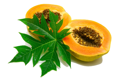 Papaya With Leaf HD Photo Png PNG Images