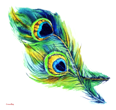 Eye Feather Christian Clip Art PNG Images
