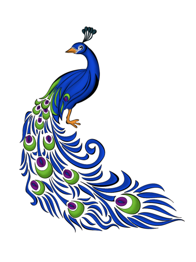 Peacock Feather Vector Graphics Png PNG Images