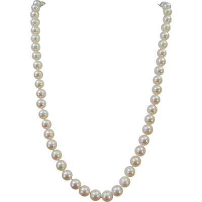 Pure Pearl, Bead, Earring, Necklace, Jewelry, Png PNG Images