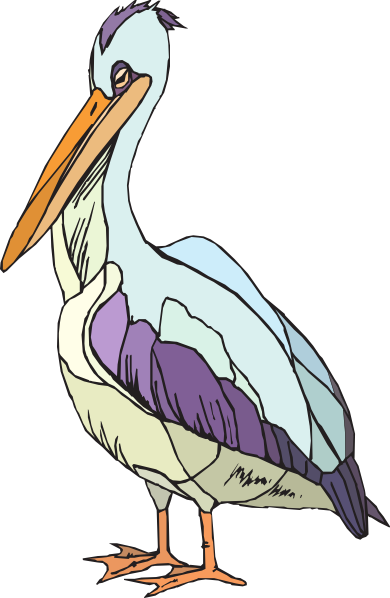 Colorful Pelican Clip Art At Pictures PNG Images