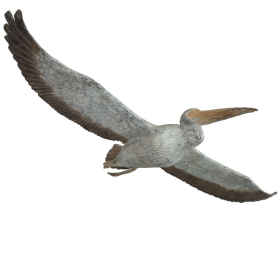 Natural History Pelicans Png PNG Images