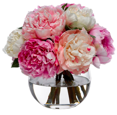 Peony Icon Clipart PNG Images