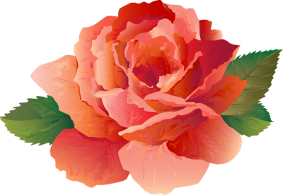 Peony Png PNG Images