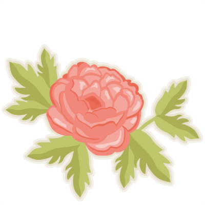 Peony Cut Out PNG Images