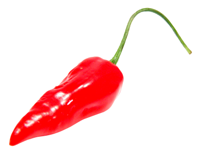Pepper Wonderful Picture Images 13 PNG Images