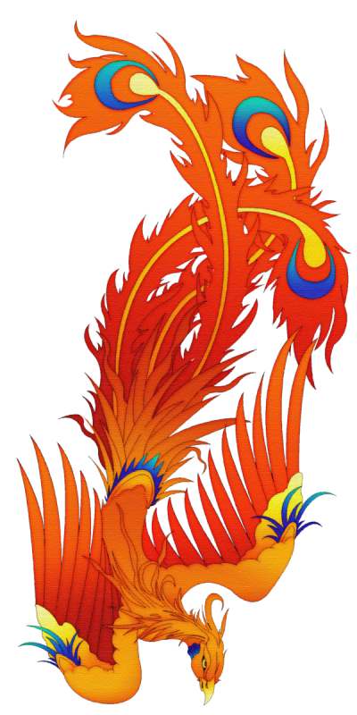 Phoenix Tattoos Background PNG Images