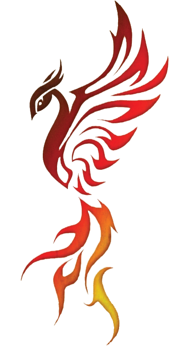 Phoenix Tattoos Free Download PNG Images