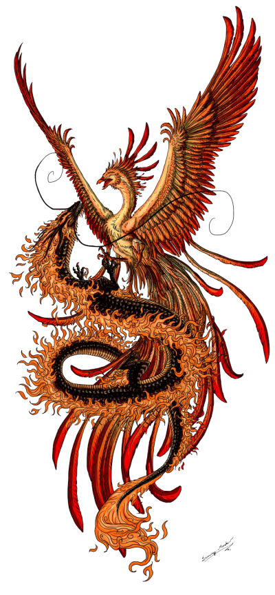 Png Best Phoenix Tattoos PNG Images