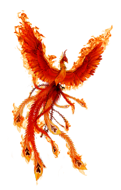 Phoenix Fire Bird PNG Icon PNG Images