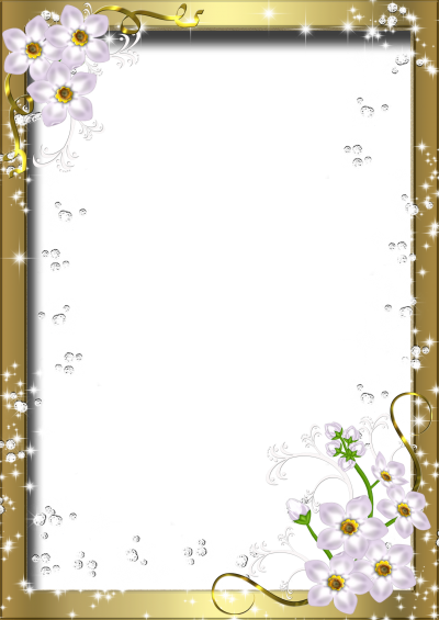 Photo Frame With Flower Border Transparent Png PNG Images
