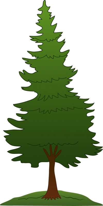 Background Pine Tree 20 PNG Images