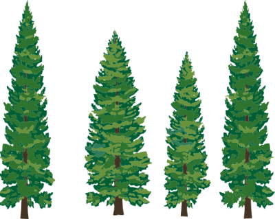 Pine Tree Cut Out Png PNG Images