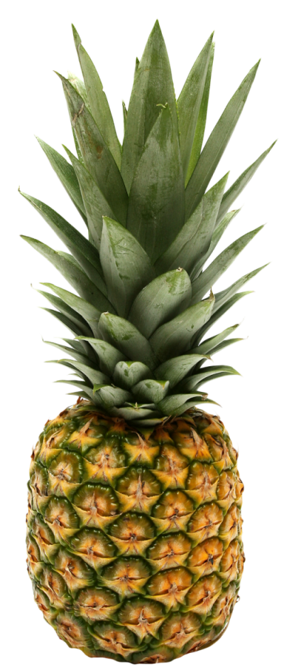 Pineapple Png Download, Fruit, Healthy, Leafy PNG Images