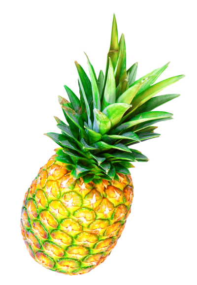 Side View Yellow Pineapple Hd Png Download PNG Images