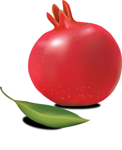 Pomegranate Vector Photo PNG Images