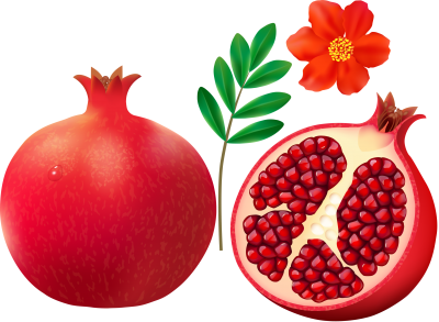 Pomegranate And Flowers Background PNG Images
