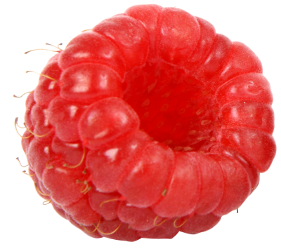 Raspberry Images PNG PNG Images