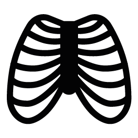 Rib Cage icons Png PNG Images