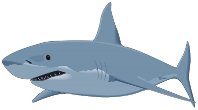 Animation Terrible Blue Shark Background Png Free Download PNG Images