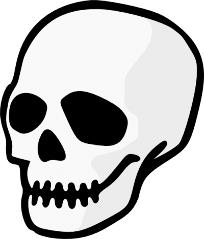 Skeleton Head Picture PNG Images