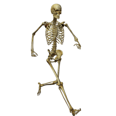 Skeleton Free Cut Out PNG Images