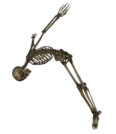 Skeleton, Skull, Swan Dive Png PNG Images