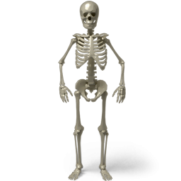 Skeleton Transparent Image PNG Images