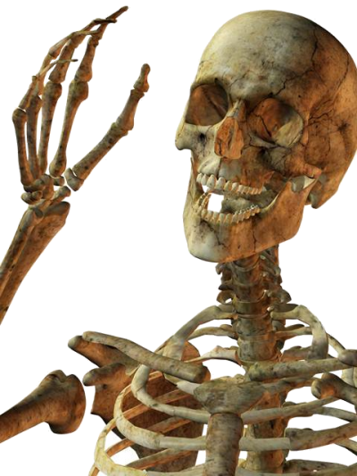 Skeleton Face PNG Images