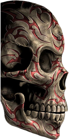Skull Photos PNG Images