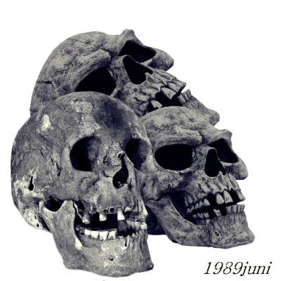 Skull Cut Out Png PNG Images