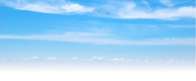 Sky HD Picture Wallpapers, Flying Bird, Visuality PNG Images