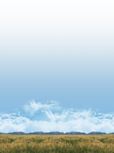 Field Sky Background Photo Long View PNG Images