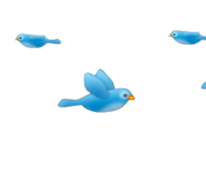 Bird, Flying, Blue, Images About Snapchat Filters Png PNG Images