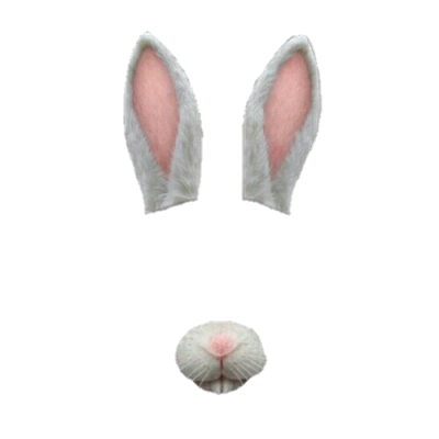 Ear, Nose, Donkey, Gif Png PNG Images