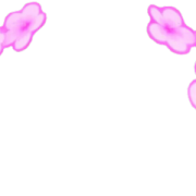 Rosa Snapchat Filters Png Transparent PNG Images