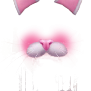 Sear, Nose, Cats, Napchat Filters Png Transparent PNG Images