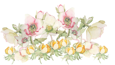 Spring Free Download PNG Images