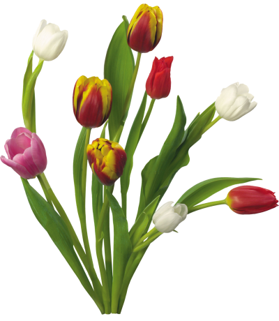Spring Png PNG Images