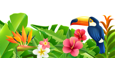 Flowers And Parrots Summer Clipart Images Free Download PNG Images