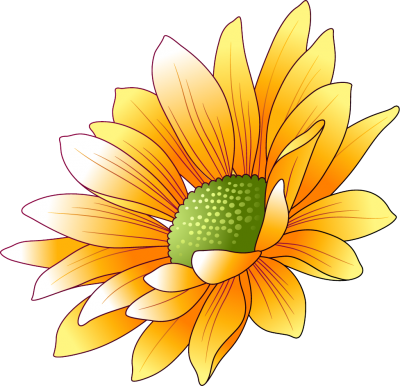 Sunflowers Transparent Image PNG Images