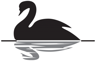 Black Swan Event Picture PNG Images