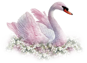 Seat Swan Png Transparent Images PNG Images