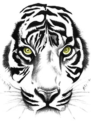 Tiger Tattoo Ink Art Wallpaper Stock Illustration - Illustration of  abstract, circle: 271566131