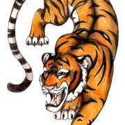 Tiger Tattoos Transparent Images PNG Images