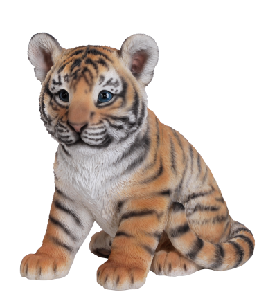 Tiger Cute Baby Png PNG Images