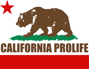 California Bear Flag Symbol PNG Images