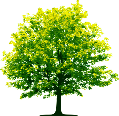 Nature Tree Png Image PNG Images